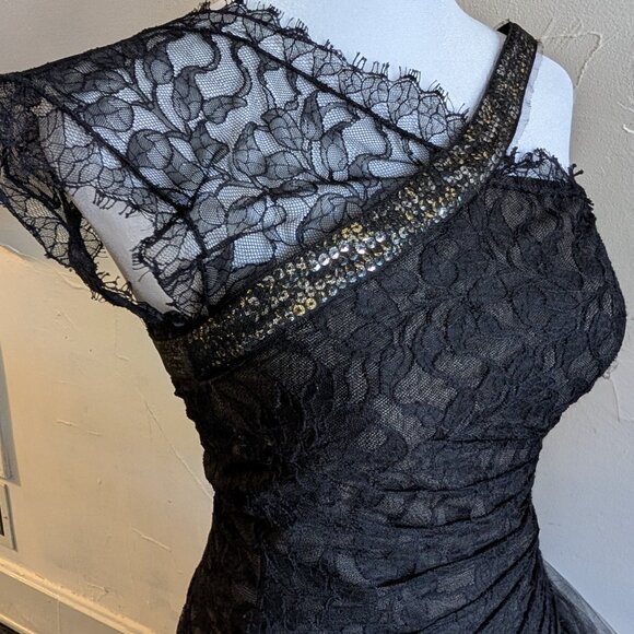 BCBGMAXAZRIA lace tulle sequin gown ASO selena gomez who says (0) - Picture 7 of 12